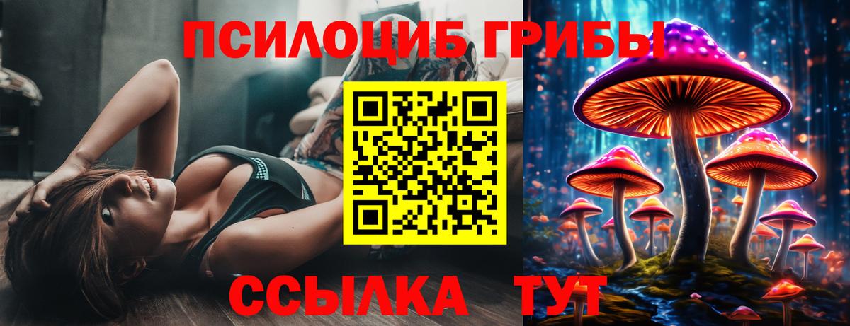 Галлюциногенные грибы Magic Shrooms  Вход с VPN  Чернушка 